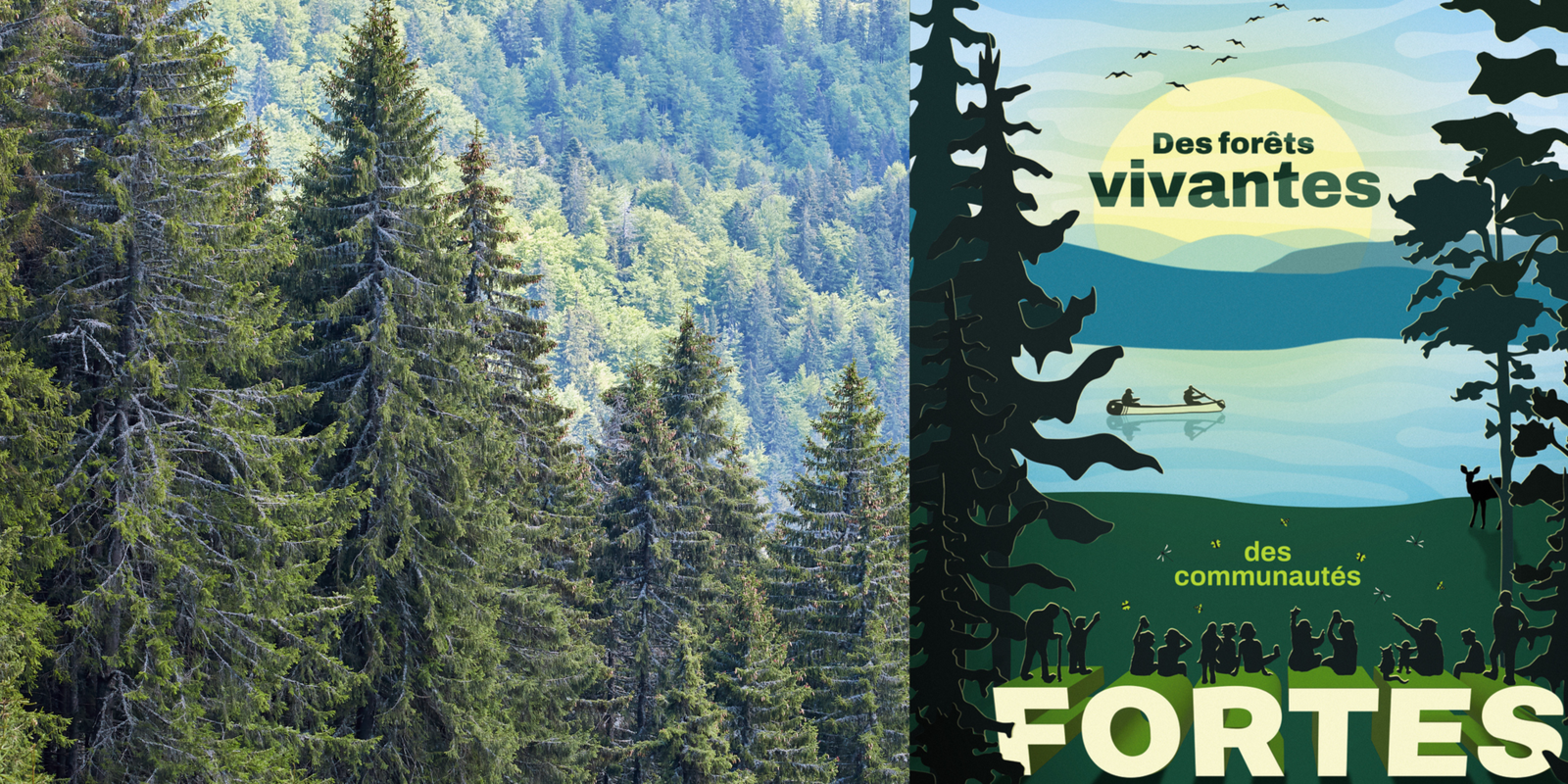 Foresterie
