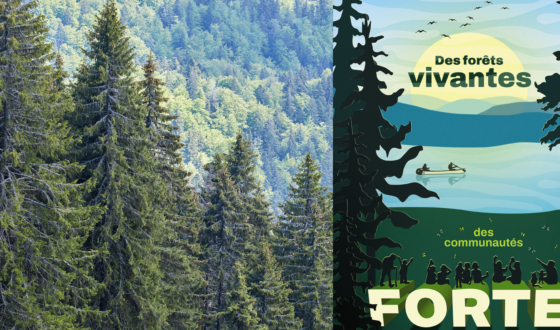 Foresterie
